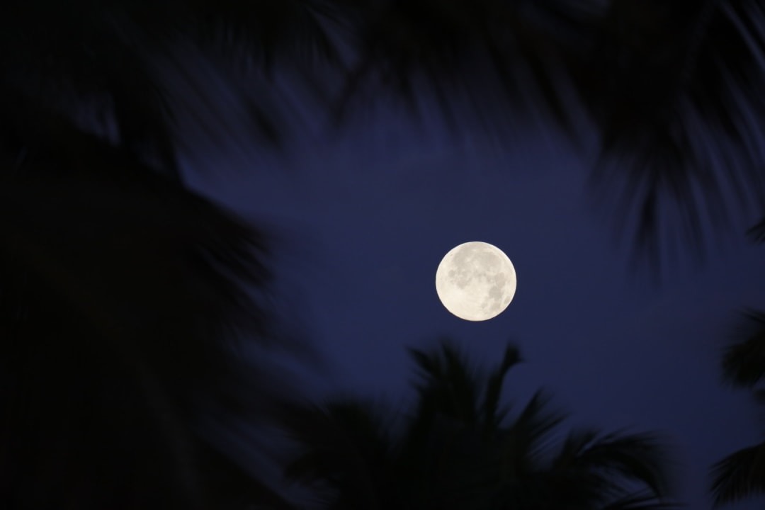 Ausblick Wyndham Alltra Samana