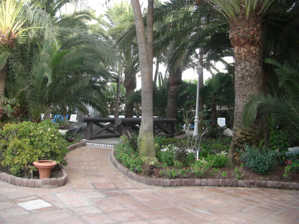 Garten Hotel Parque Tropical
