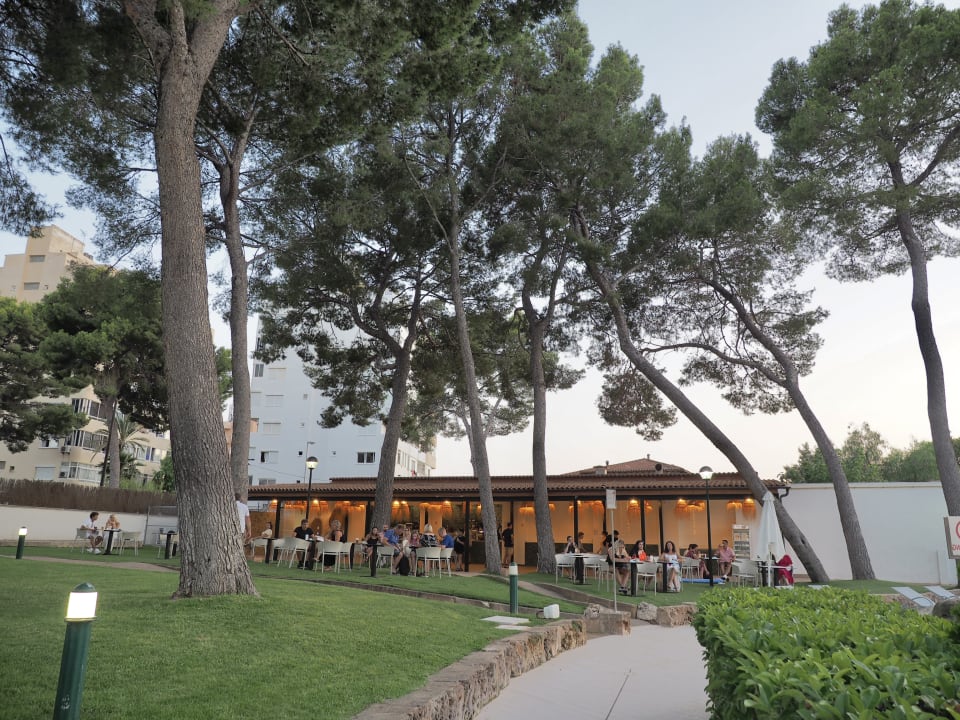 Gartenanlage BQ Belvedere Hotel
