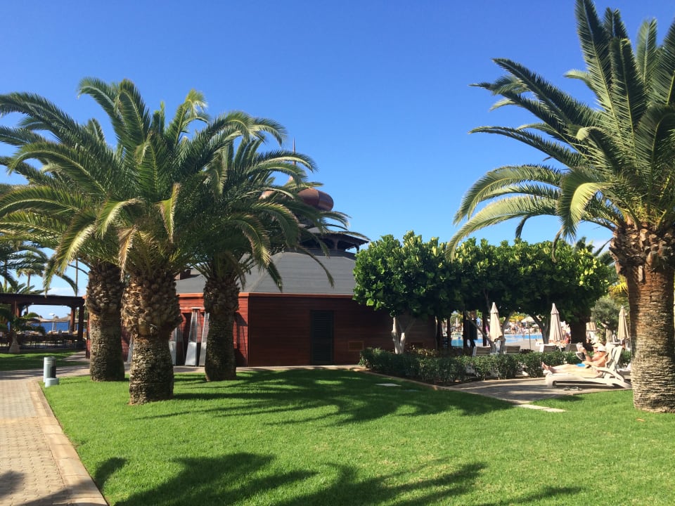 Außenansicht Hotel Riu Palace Tenerife