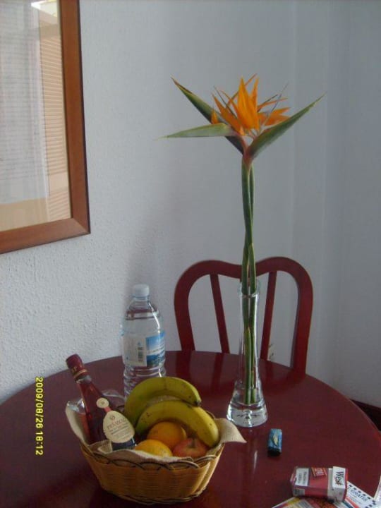 Empfangsblume Parque Santiago IV Official