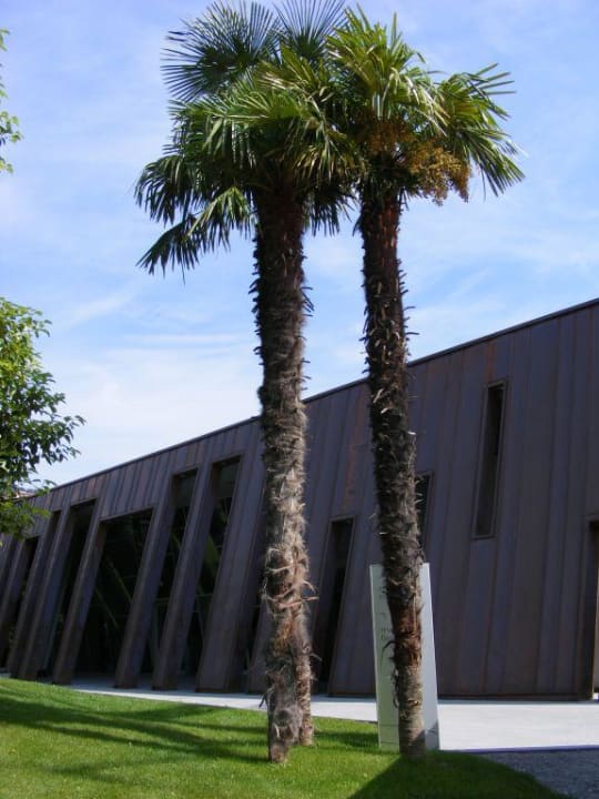 Garten Astoria Resort