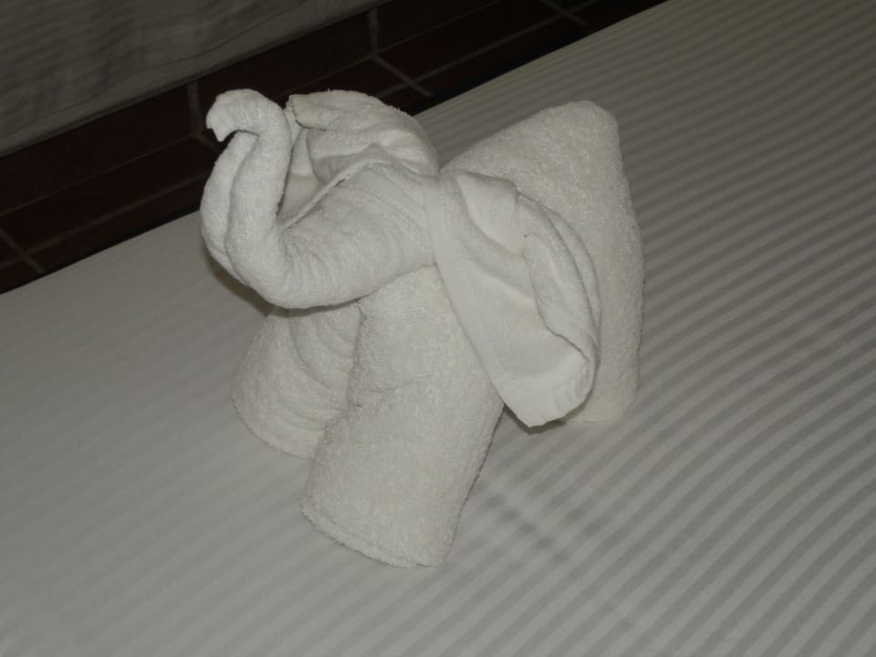 Deko, jeden Tag ein anderes Motiv Viva Maya by Wyndham - All Inclusive Resort