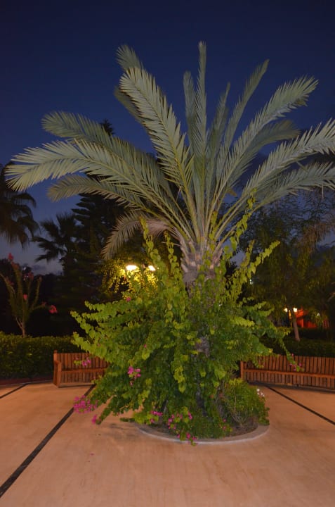 Gartenanlage Saphir Resort & Spa