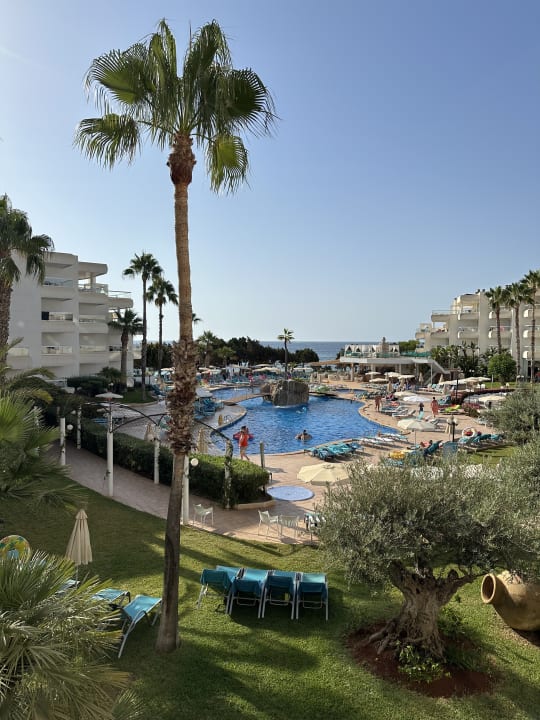 Pool Hotel Tropic Garden