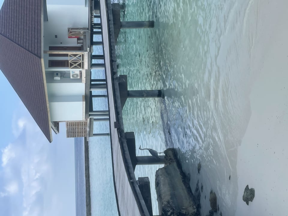 Ausblick Ellaidhoo Maldives by Cinnamon