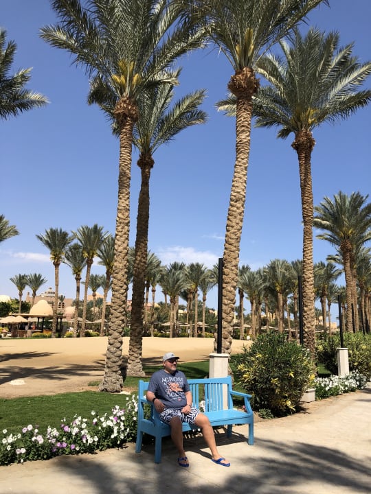 Gartenanlage Makadi Spa - Adults only