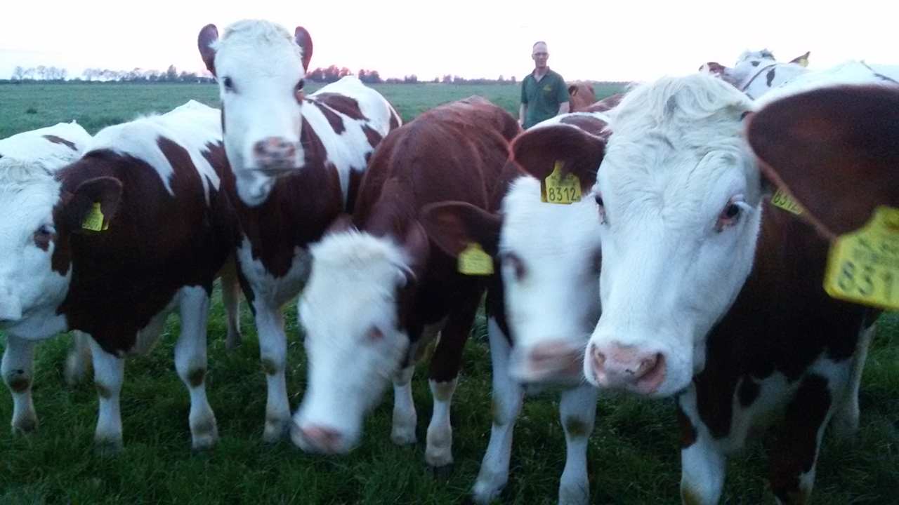 Außenansicht Boerderij Hazenveld