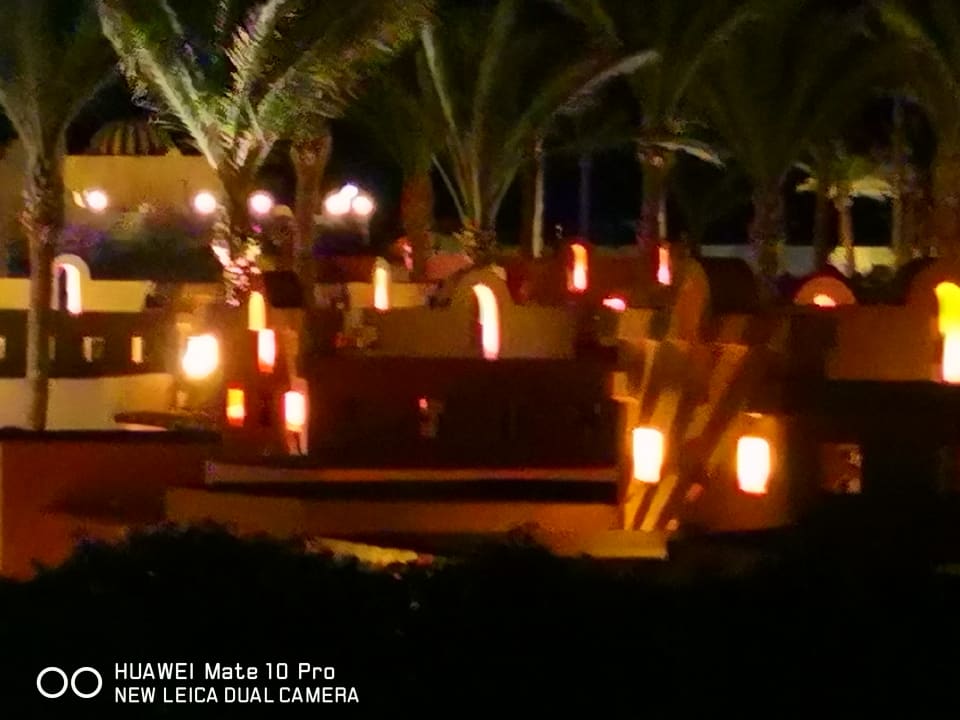 Ausblick Parrotel Beach Resort