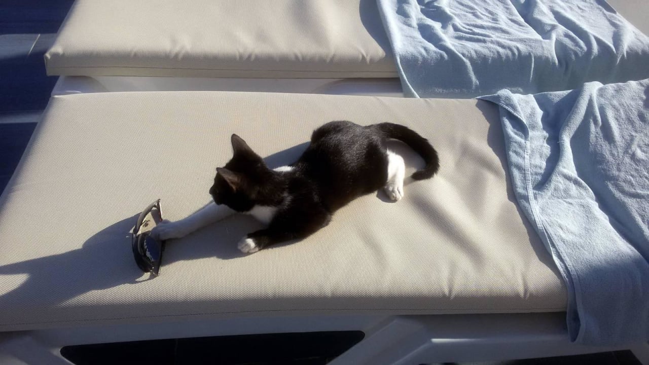 Morgendlicher Gast Salmakis Resort & Spa