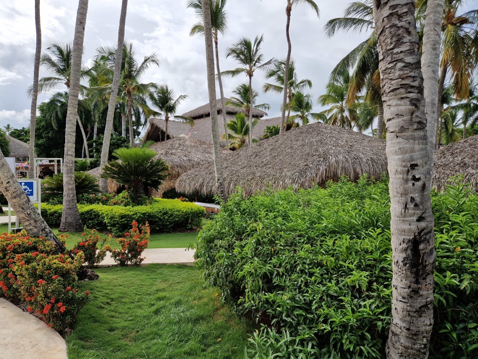 Gartenanlage Hotel Viva Dominicus Palace by Wyndham-All Inclusive Resort