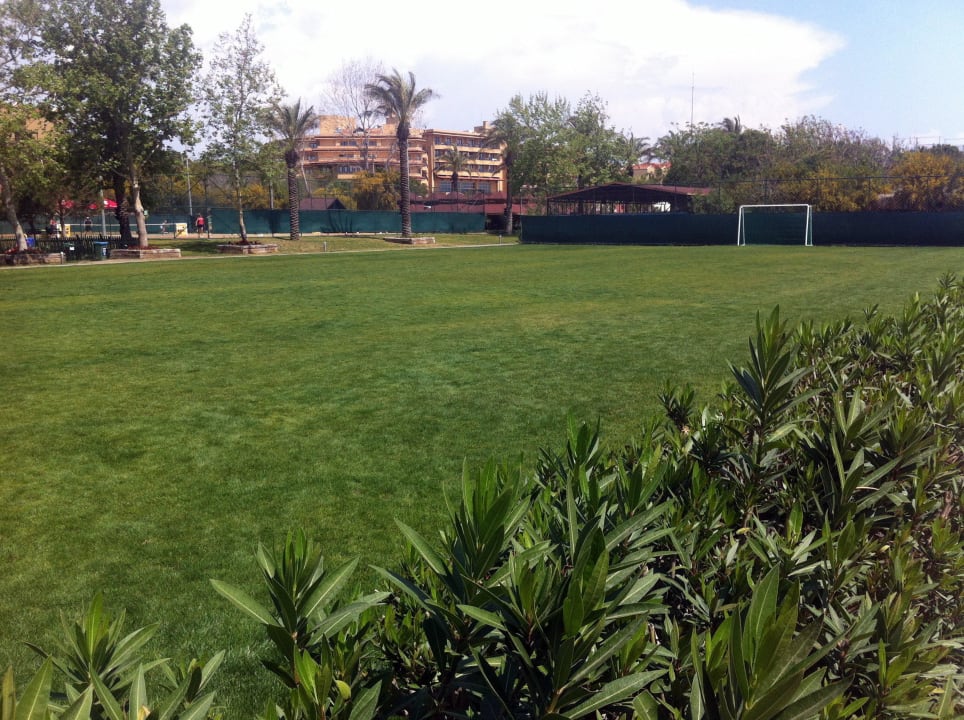 Gepfelgter Fußballplatz Asteria Family Belek