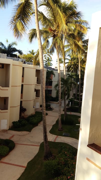 Gartenanlage Hotel Viva Dominicus Beach by Wyndham - All Inclusive Resort