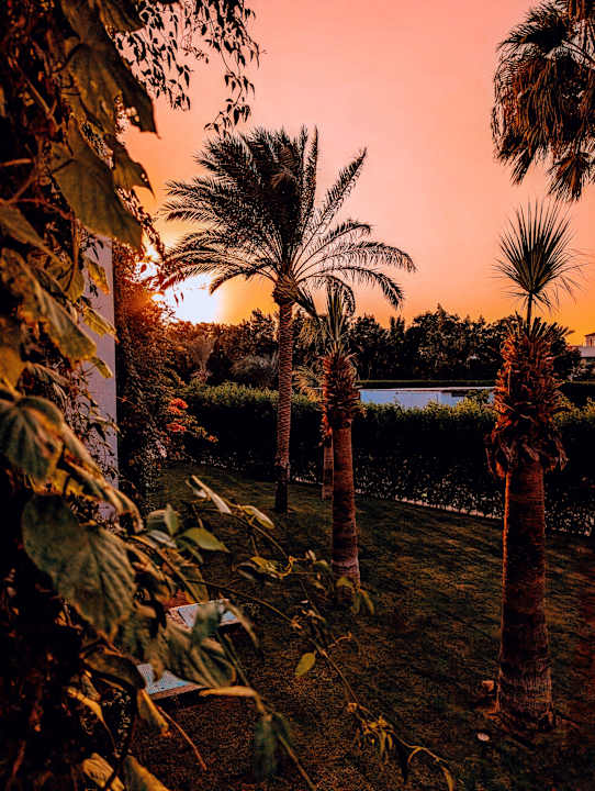 Ausblick Desert Rose