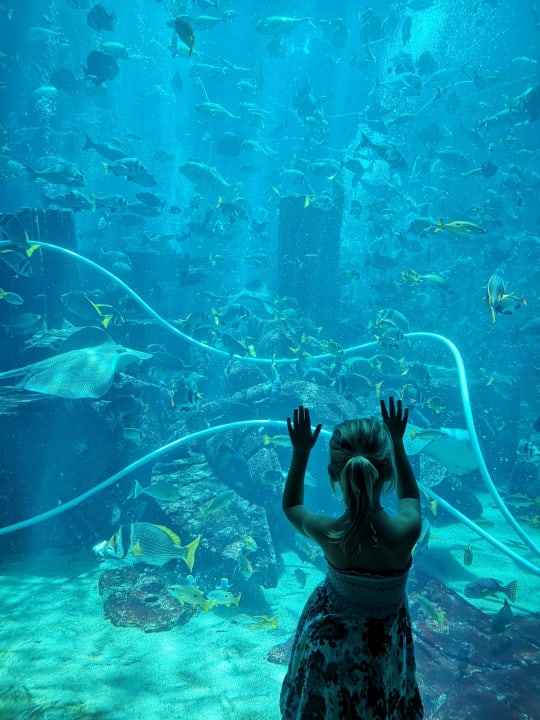 Sport & Freizeit Atlantis, The Palm