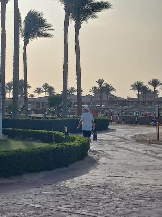 Gartenanlage Cleopatra Luxury Resort Makadi Bay