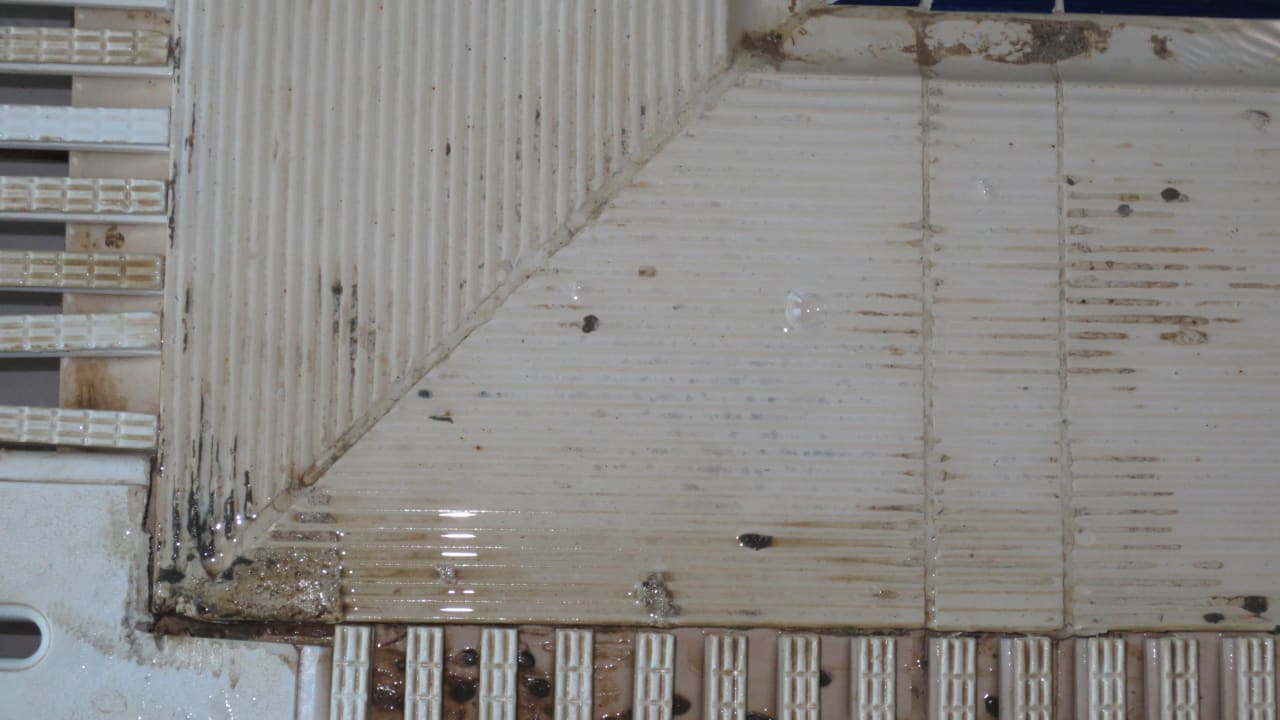 Sauberkeit - ein Fremdwort!!! Sultan of Dreams Hotel & Spa