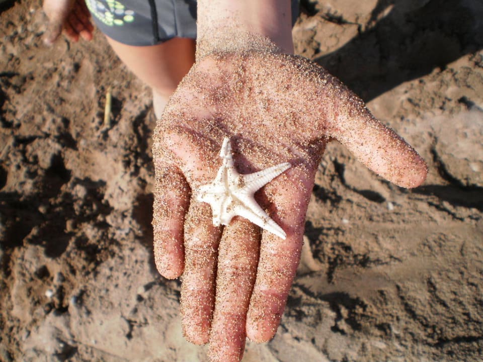 Seestern Belek Beach Resort Hotel