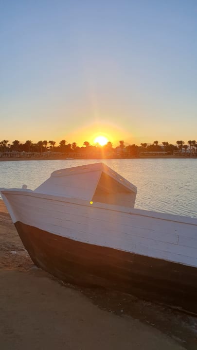 Ausblick Desert Rose