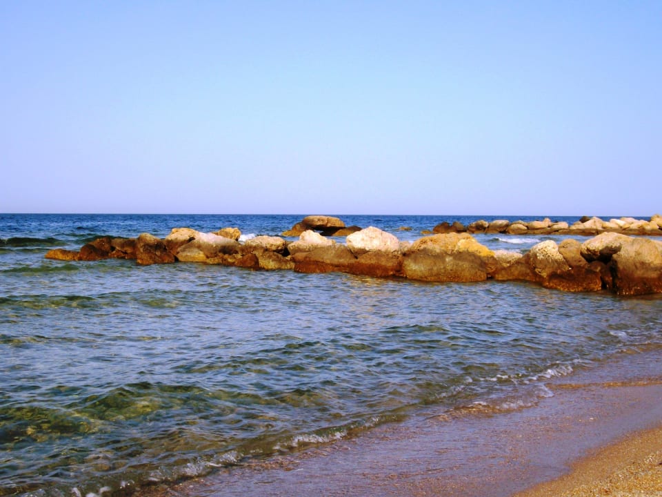 Fast menschenleer Pickalbatros Citadel Resort