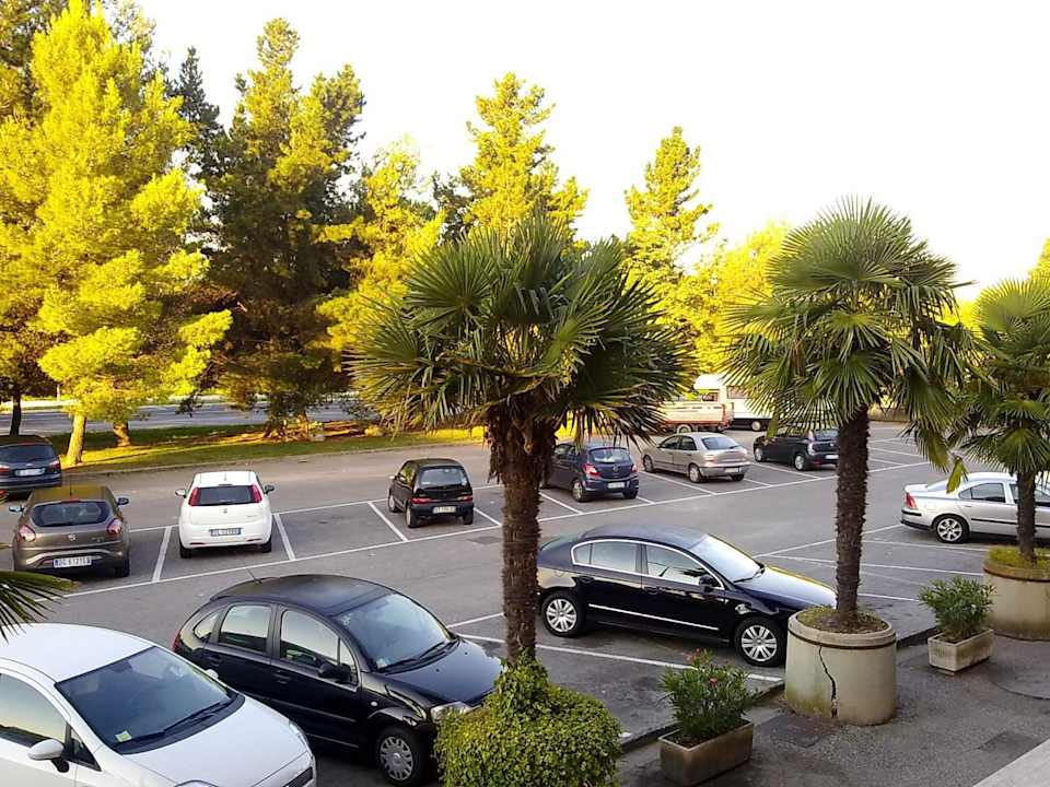 Hotel Residence Isola Verde Pisa vacanza holiday Hotel Residence Isola Verde