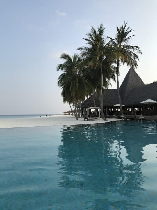 Pool Veligandu Maldives Resort Island