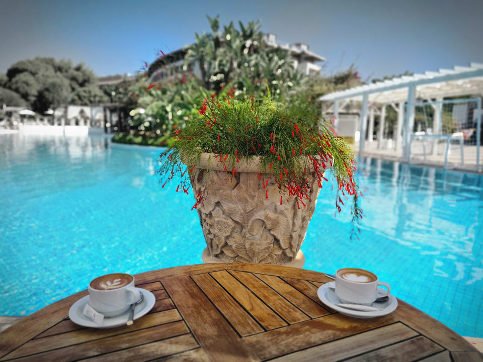 Gastro Ela Excellence Resort Belek