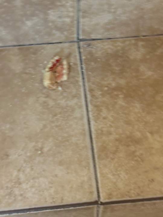 Gastro Royal Park Hotel & Aqua park