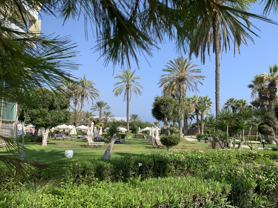 Gartenanlage Hotel Louis Imperial Beach