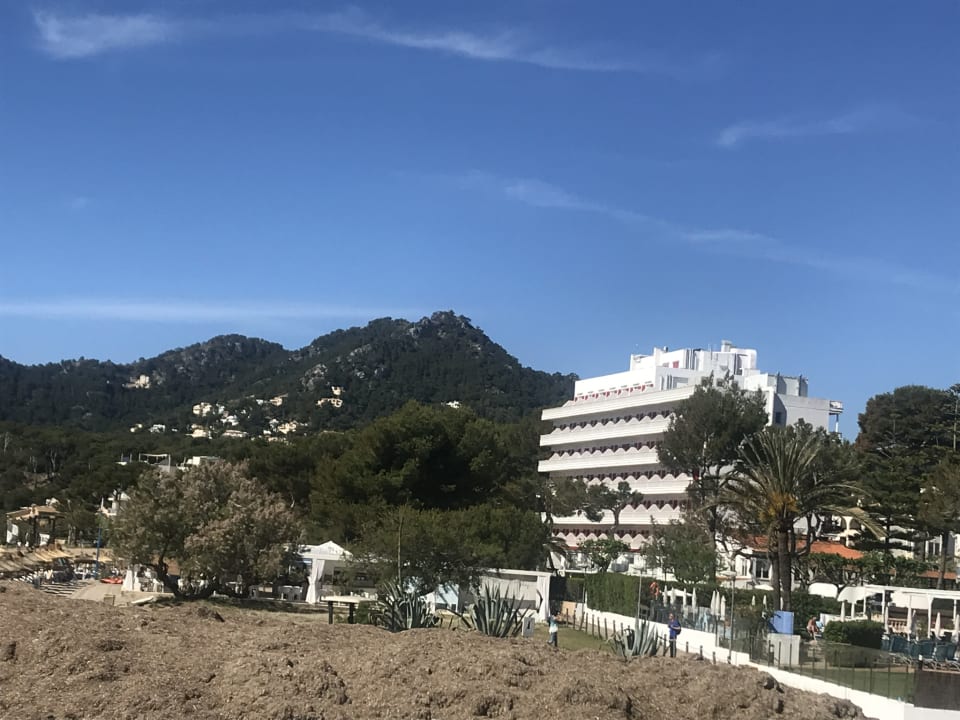 Außenansicht Universal Hotel Laguna