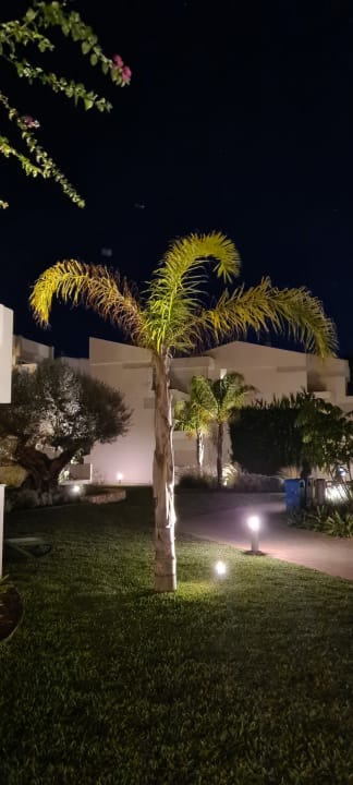 Gartenanlage Hipotels Mediterraneo Club