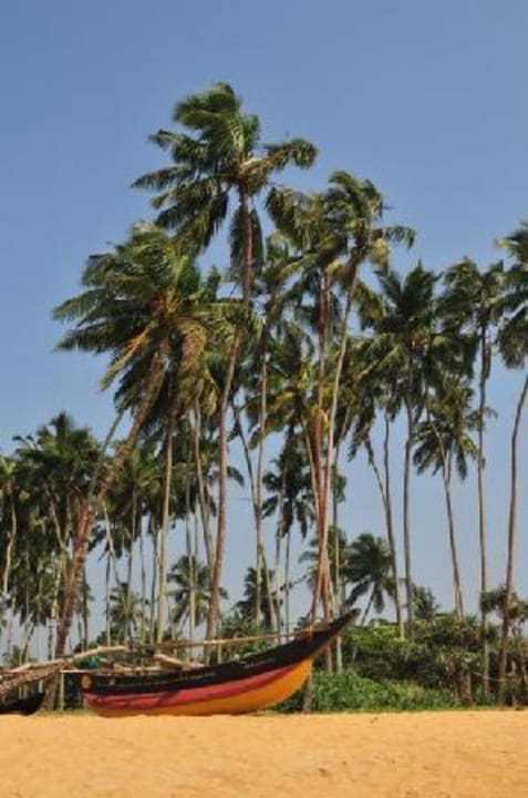 Einer der schönsten Strände Sri Lankas  Mermaid Hotel & Club