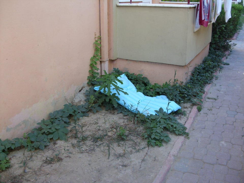 Appartment-Rückseite New Garden Hotel Side