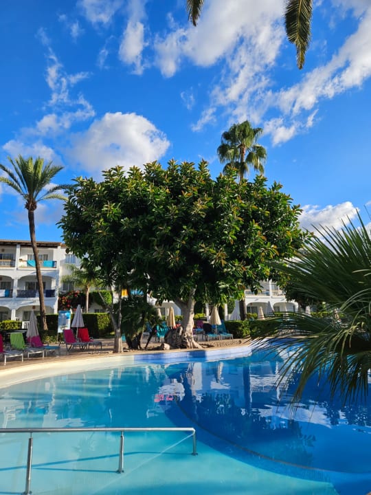 Pool Alcudia Garden Aparthotel
