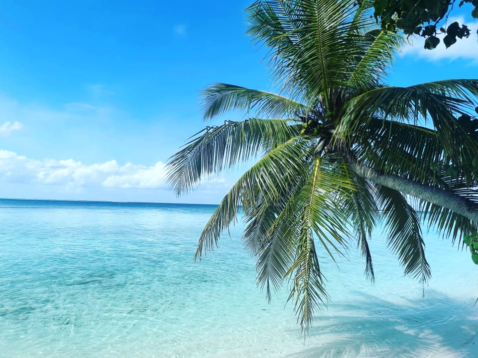 Strand Vilamendhoo Island Resort & Spa