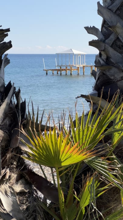 Gartenanlage TUI MAGIC LIFE Beldibi +16