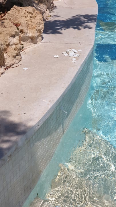 Pool Grand Waterworld Makadi & Family Star Makadi