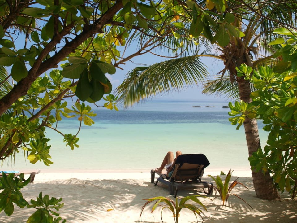 Lesend am Nordstrand / Beachbungi-Strand Kuredu Island Resort & Spa