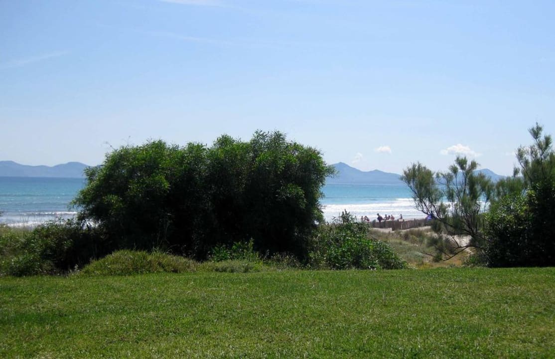 Blick vom Garten aufs Meer Grupotel Natura Playa