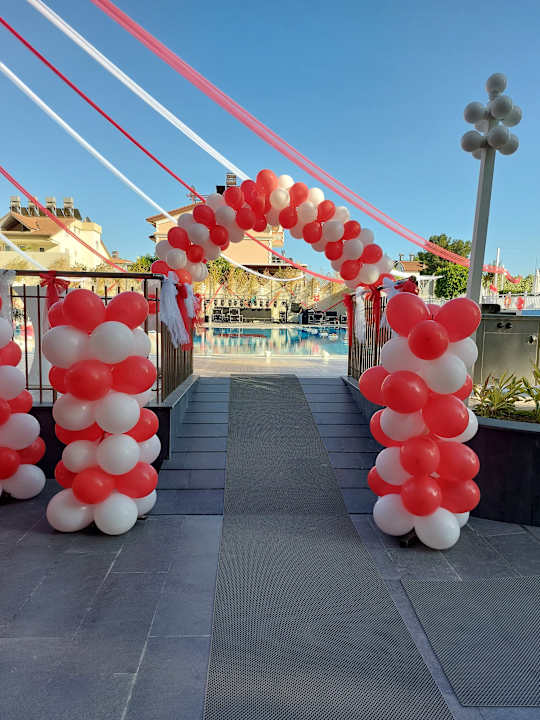 Sonstiges Seashell Vega