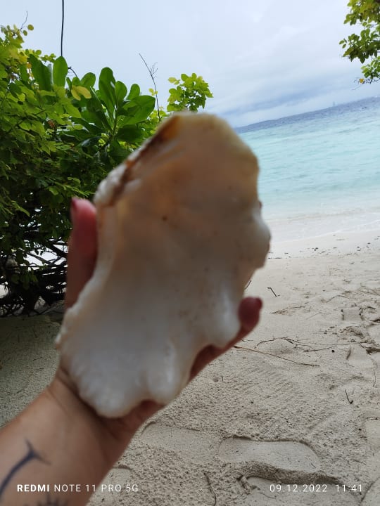 Sonstiges Embudu Village