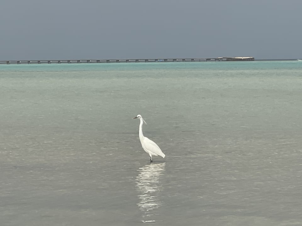 Strand Casa Mare Resort