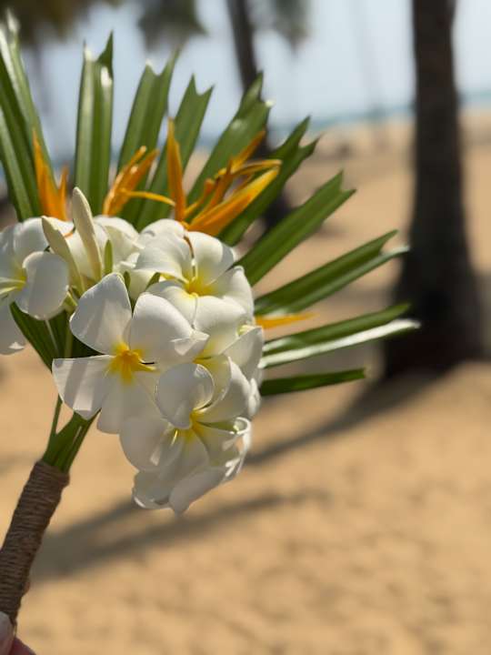 Strand Karpaha Sands