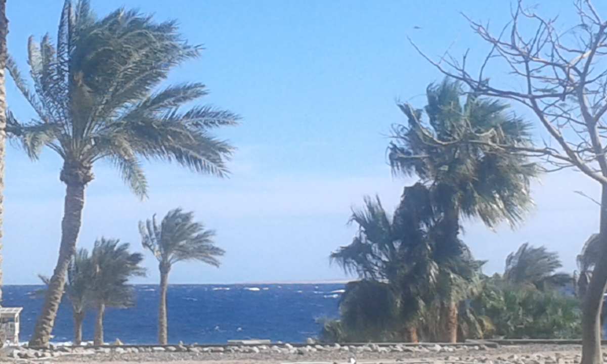 Ausblick Parrotel Beach Resort