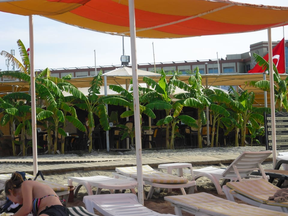 Strand mit Bar Hotel Goldcity Tourism Complex