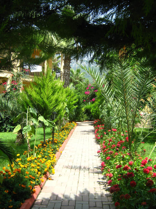 Территория отеля - очень уютная, много зелени Hotel Seker Resort