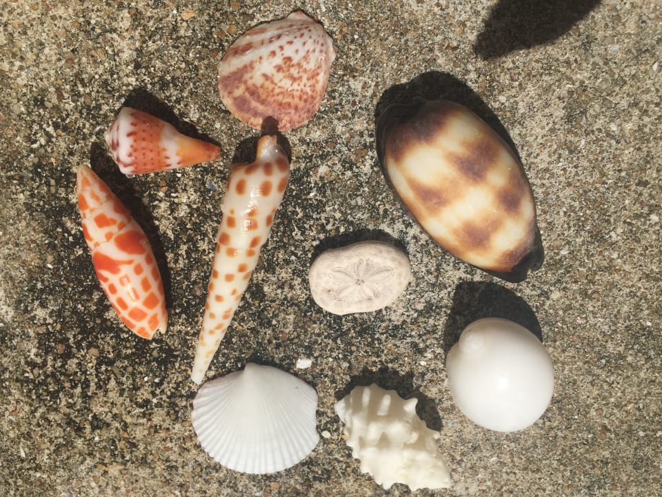 Sonstiges Kuredu Island Resort & Spa