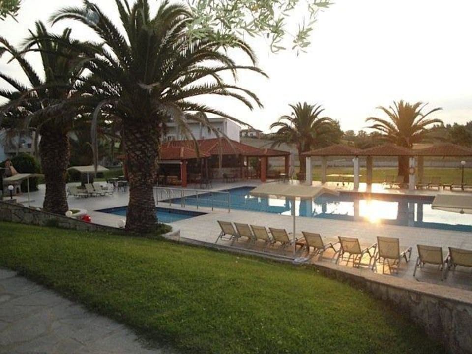 Pool/Poolbar Iris Hotel