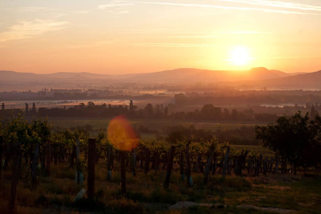 Ausblick vom Berg Matild Country Hotel