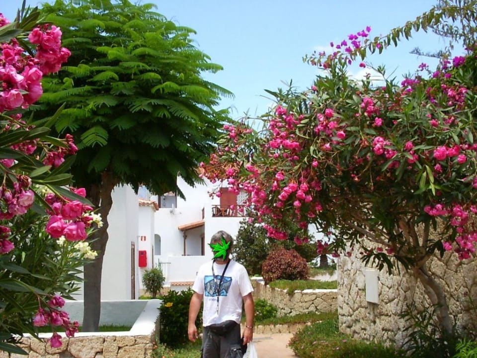 In der Anlage des Paraiso Royal Paraiso Royal Apartments